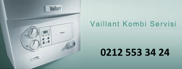 Vaillant Servis, Bakım, Arıza